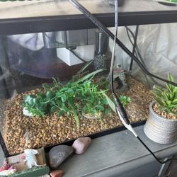 Fish Tank