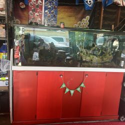 Fish Tank 180 Gallon