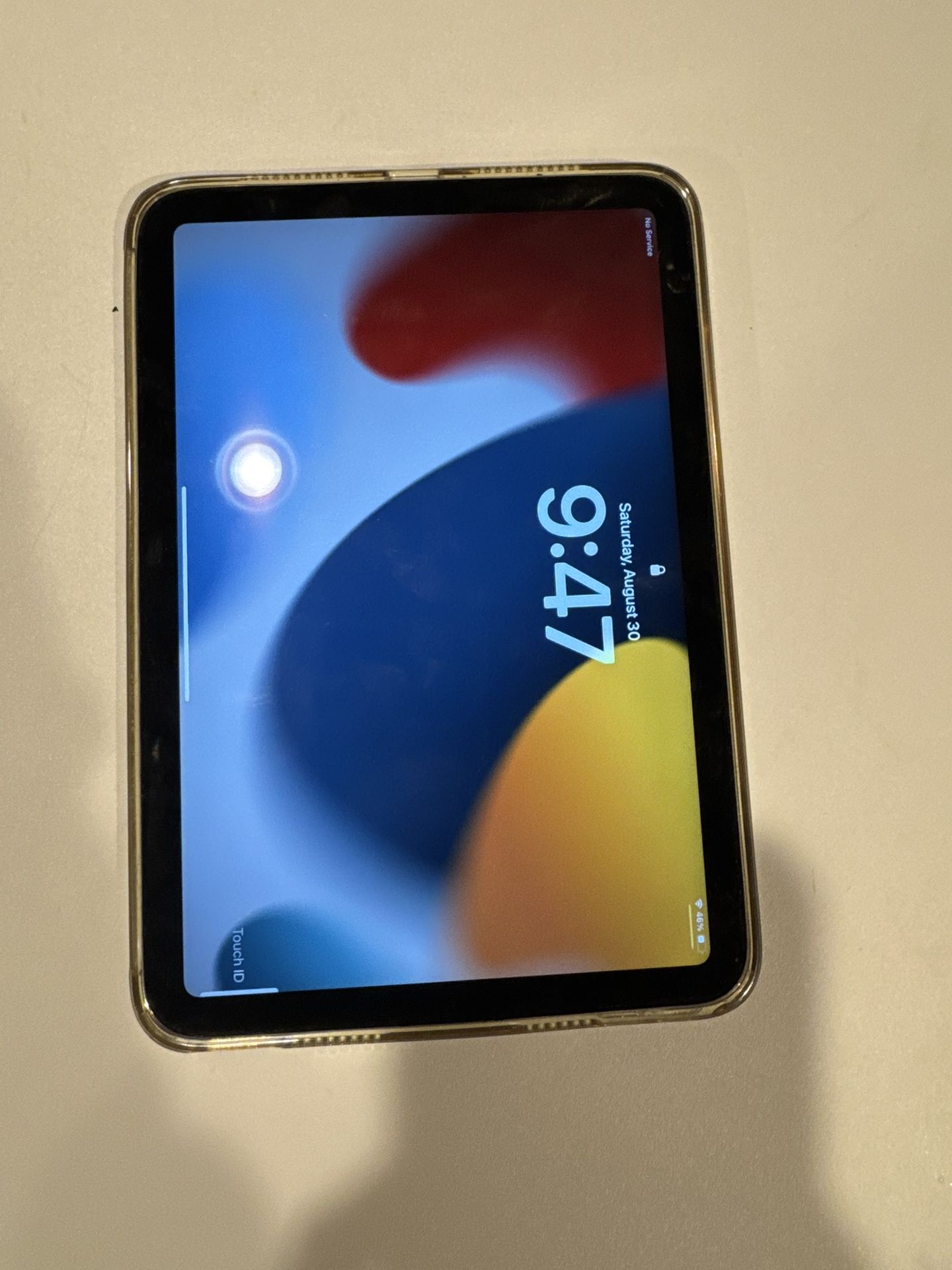 iPad Mini 256