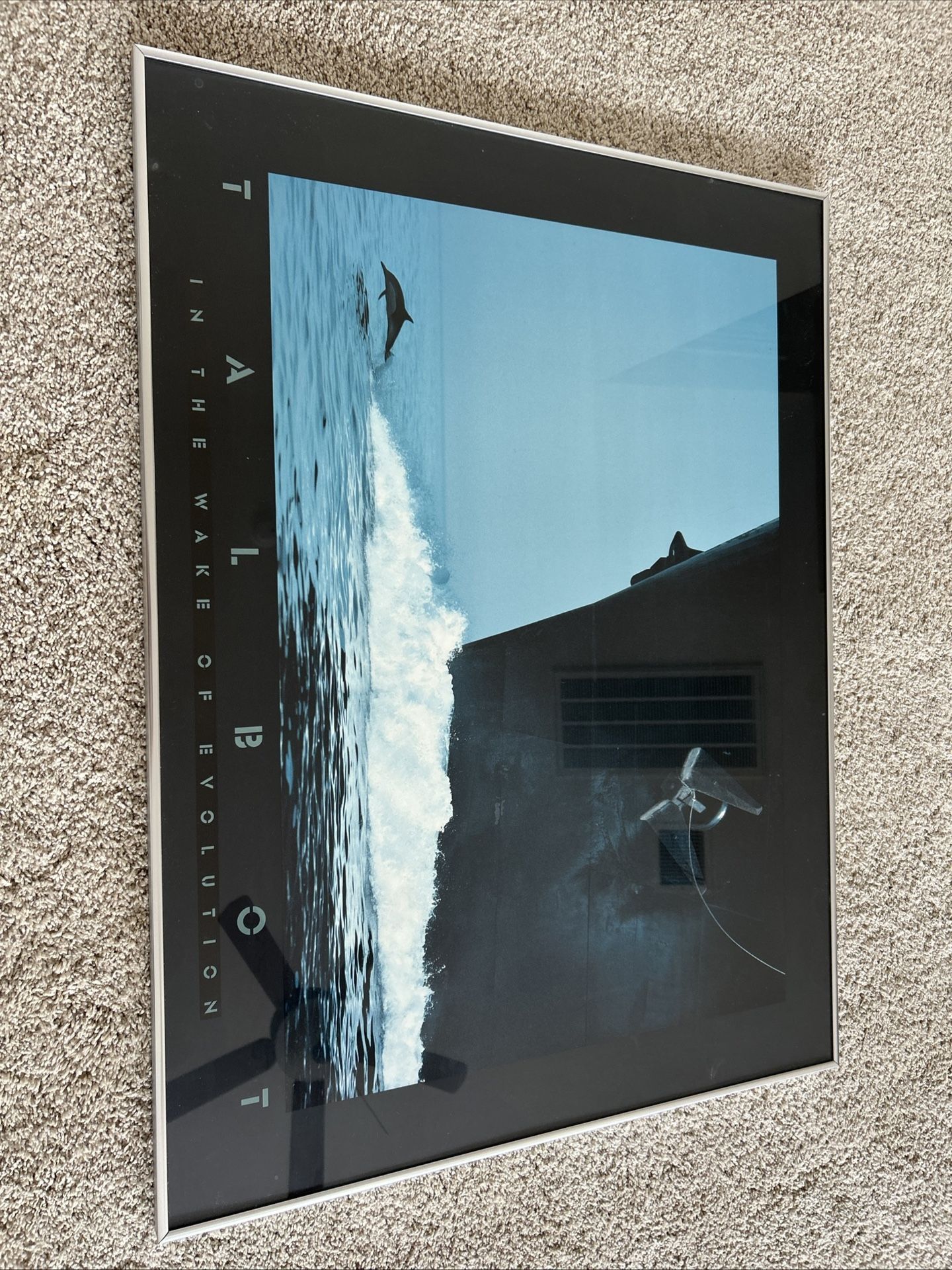 Vintage Bob Talbot framed poster – In the Wake of Evolution