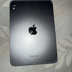 New iPad Mini With WiFi + Cellular Once Connected 