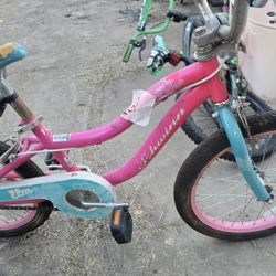 18 in Schwinn BMX only one training wheel 