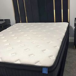 Black & Gold VELVET BED 🛏️💛🖤🛏️