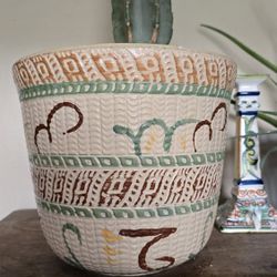 Peruvian Apple Cactus With Hand Painted And Glazed Clay Pot