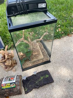 Includes terrarium, branch, and Habba Hut hide.