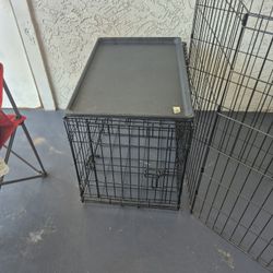 Dog Cage And Cennel 