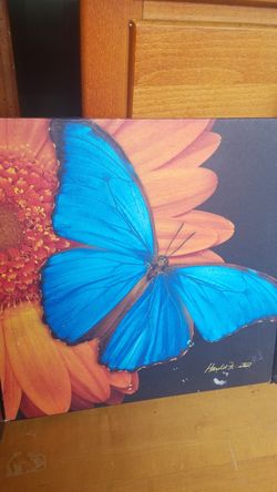 Butterfly $5