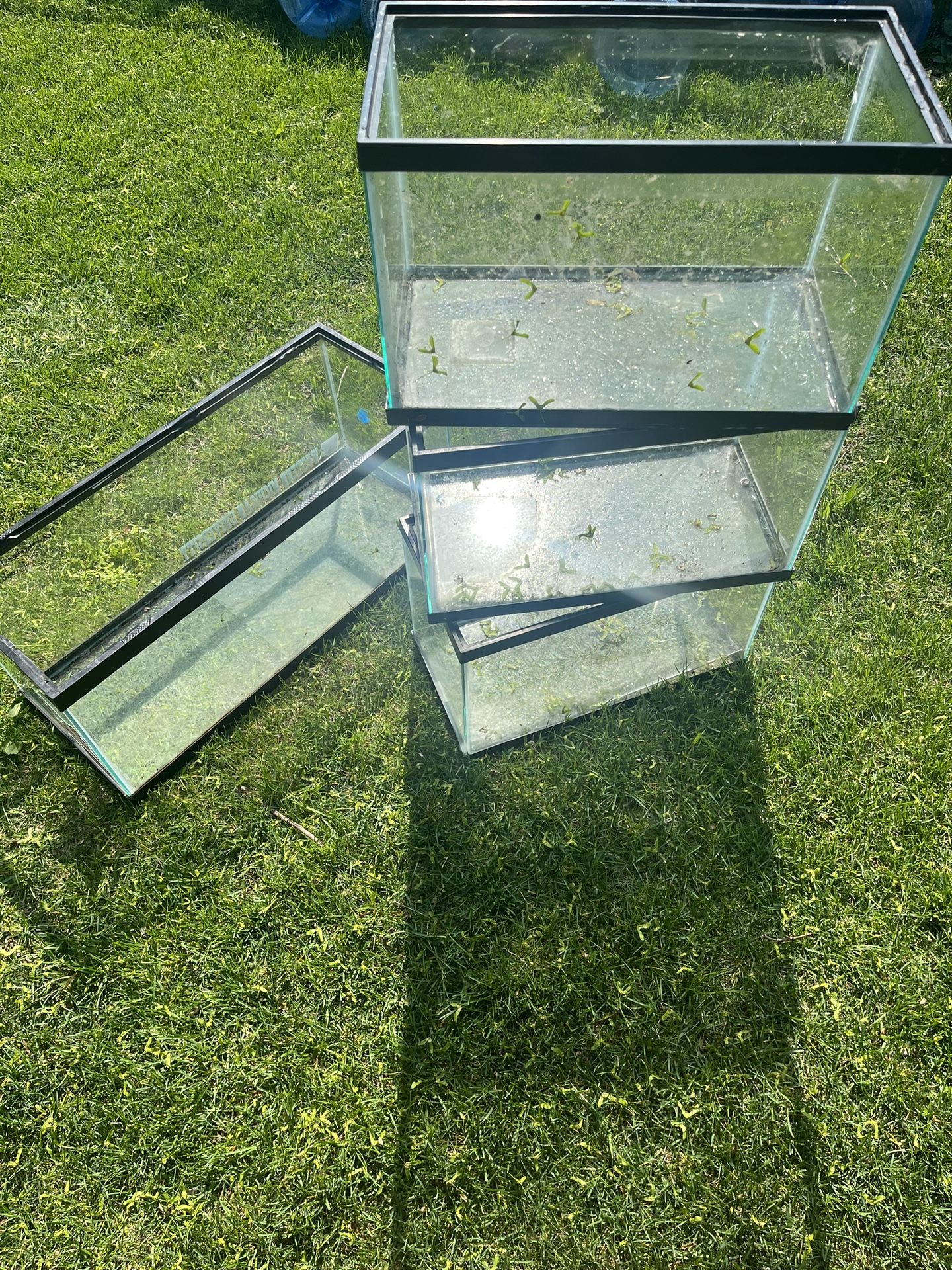 Fish Tanks