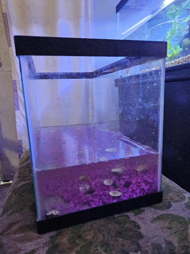 10 Or 15 Gallon Fish Tank 