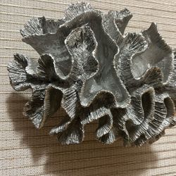 Coastal Silver Coral