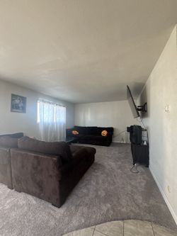 Brown Sectional Couches