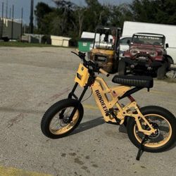 Rundeer Attack 10 Electric-Bike