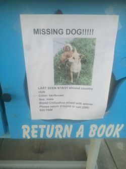 No vendo nada,solo busco encontrar mi perro... 