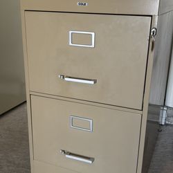 Cole Commercial Grade Vertical File Cabinet 2 Drawer Legal, heavy duty steel construction in excellent condition, color putty with few minor surface i