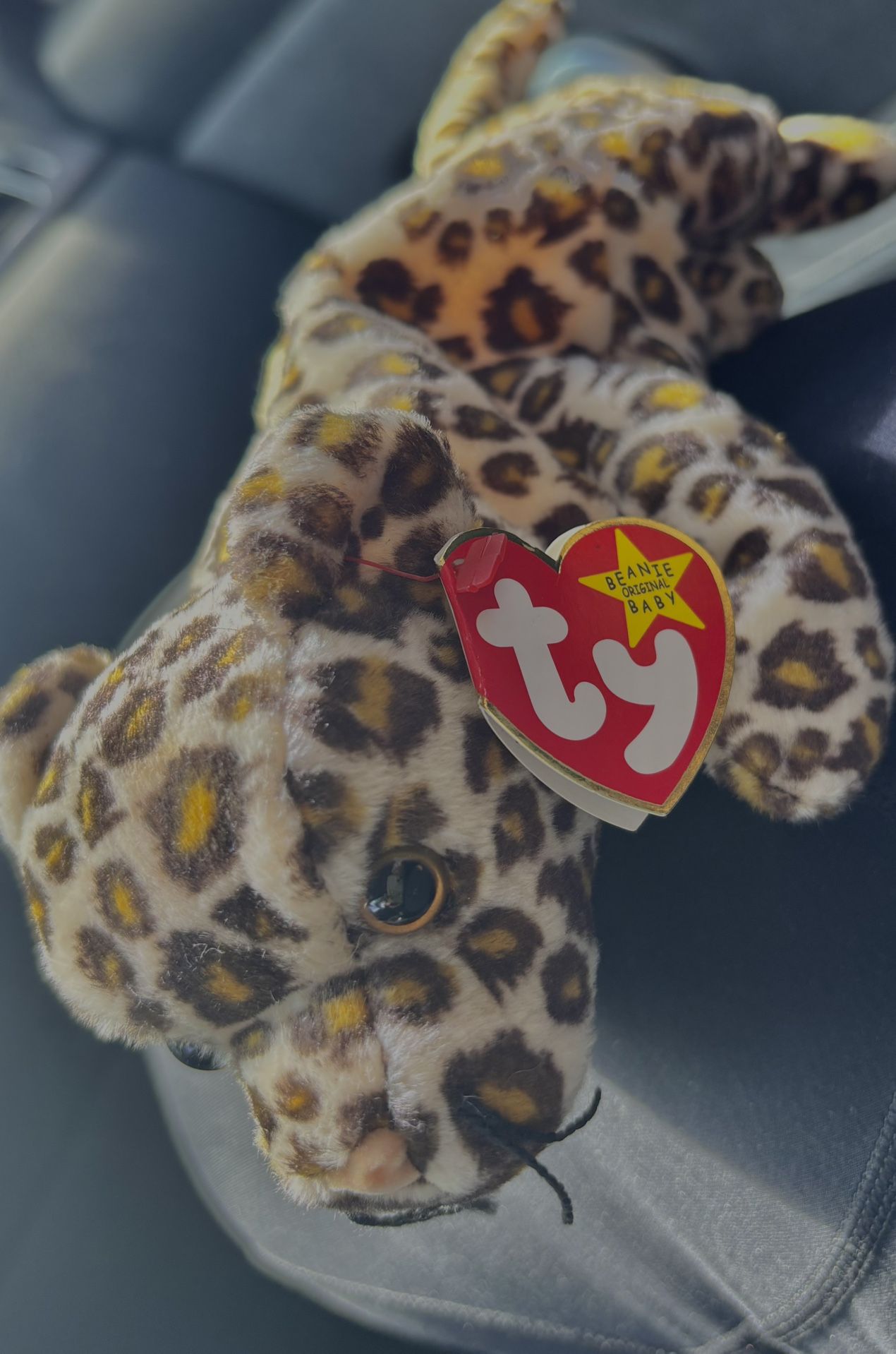 Freckles The Cheetah