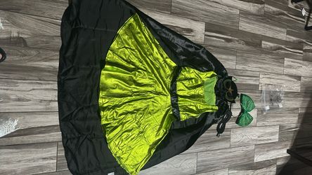 Power puff girl costume