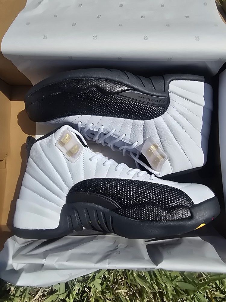 Jordan 12 Taxi