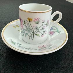 richard ginori 1735 Italy espresso cup saucer porcelain vintage collectible  In great condition 