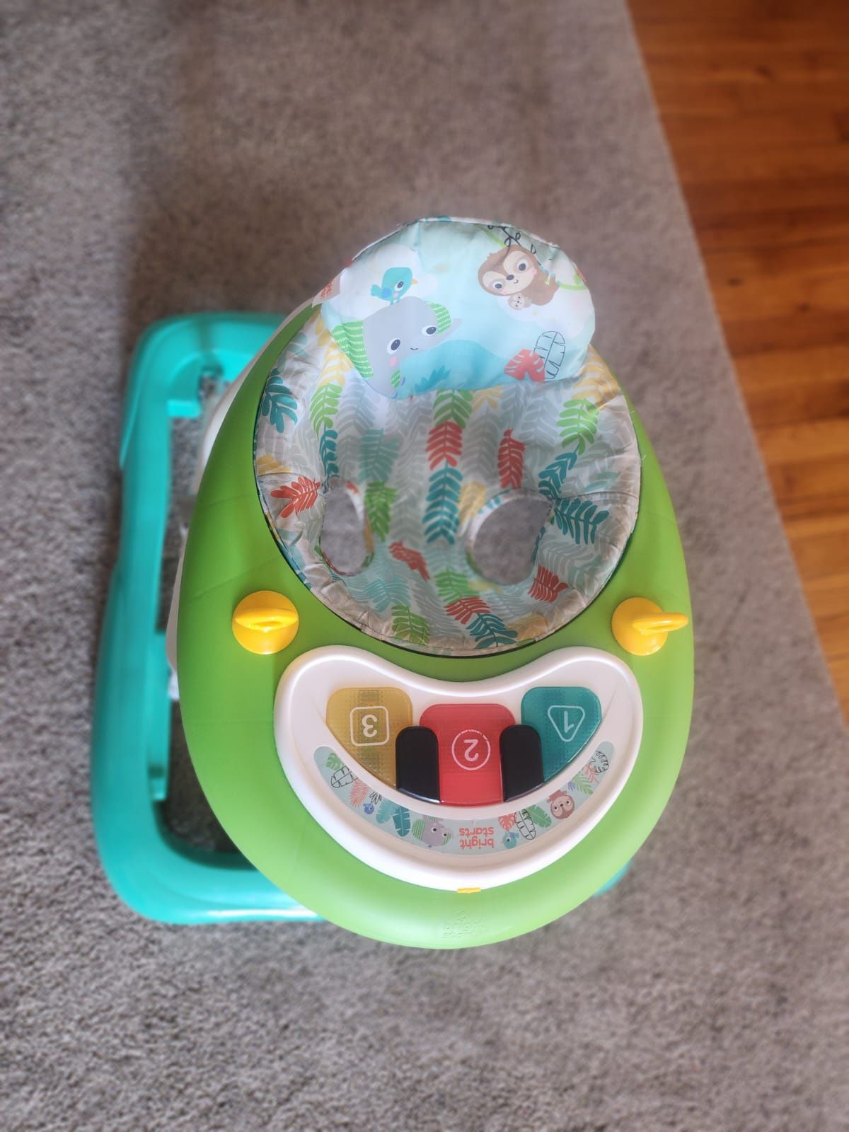Baby Walker