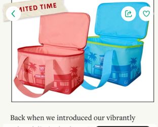 Trader Joe's insulated bag