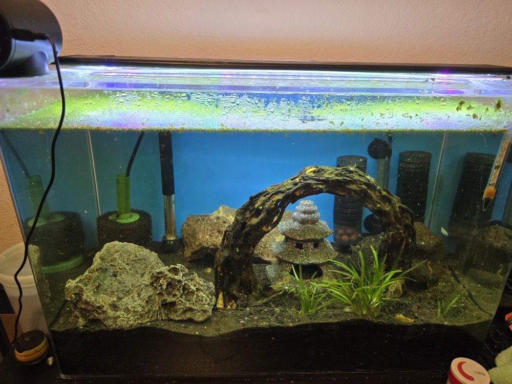 20 Gal Tank With Accessories