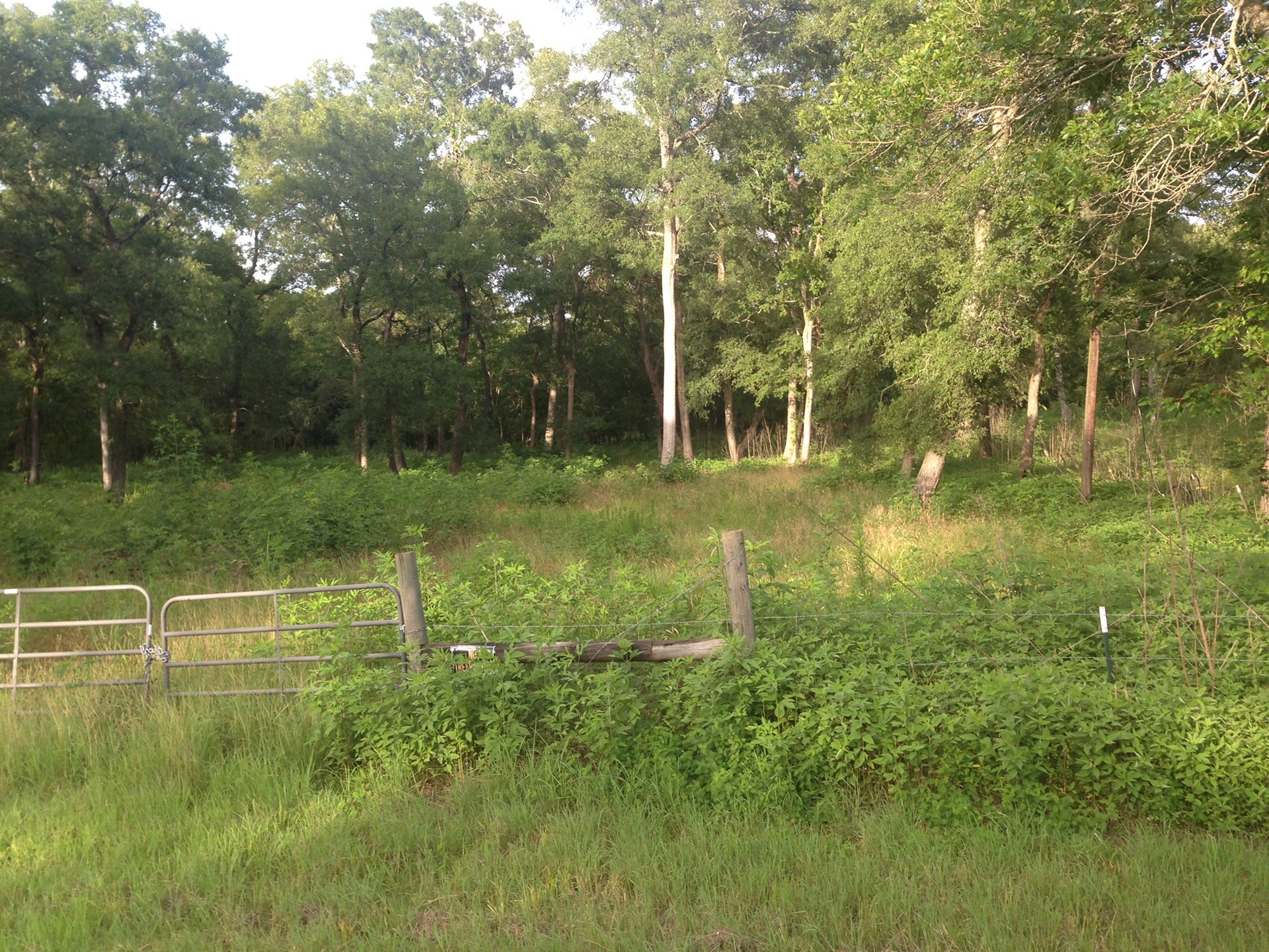 6 acres in beautiful private Tierra grande subdivision located in