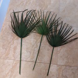 West Elm Palm Fronds. 