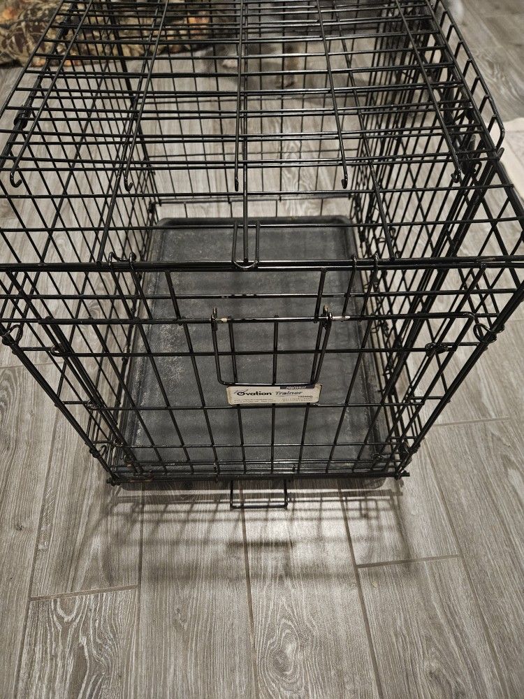 Small Dog Kennel