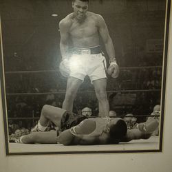 Authentic Ring Side Photo