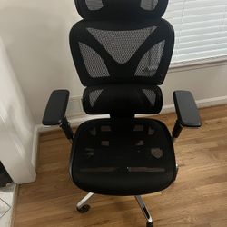 Ergonomic Office Chair