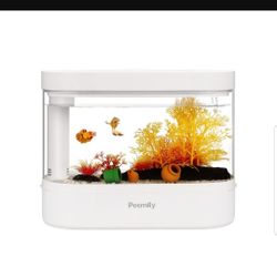 2.5 Gallon Fish Aquarium LED lighted and Self Filtering