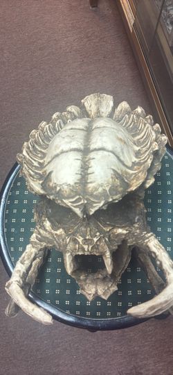 Predator Skull Replica Prop Collectible