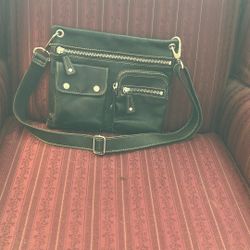 Fossil.      Organization Bag. 