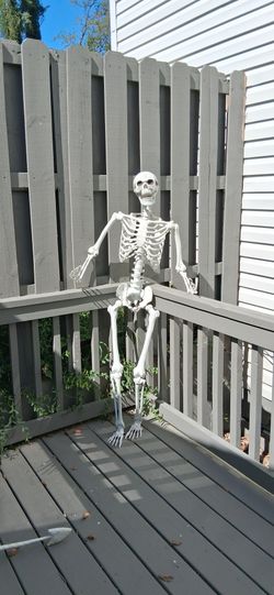 Halloween skeleton