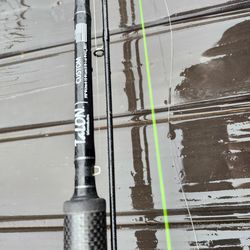 Fishing- Custom Talon rod