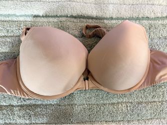 Torrid bra