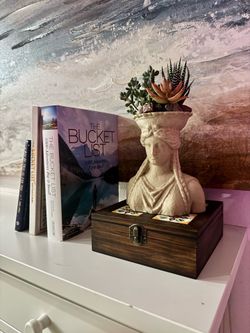 Roman Queen planter with drainage for succulents
