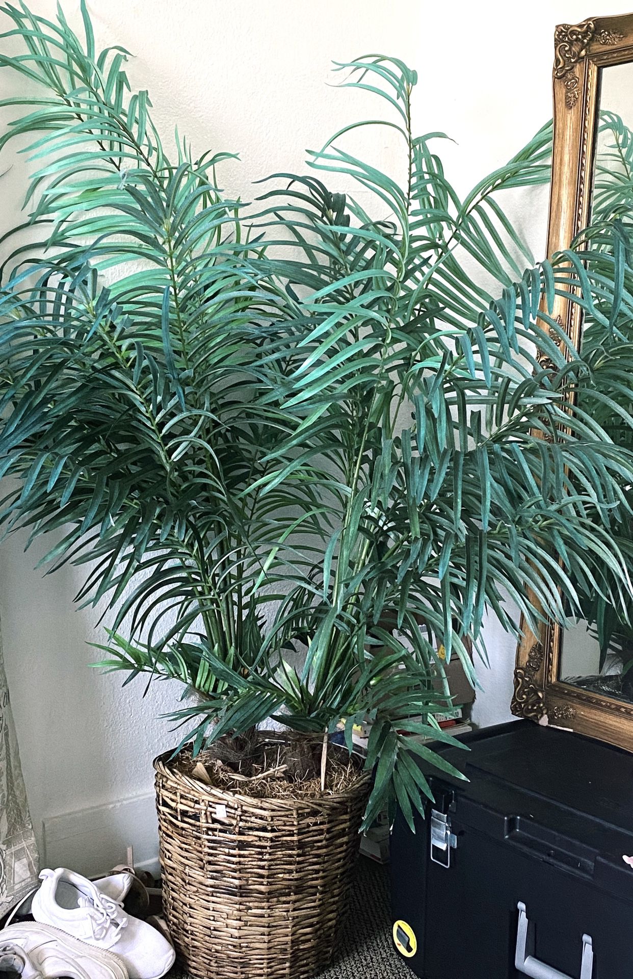 artificial palm plant
