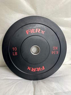 10 lb  weights ( set of two )