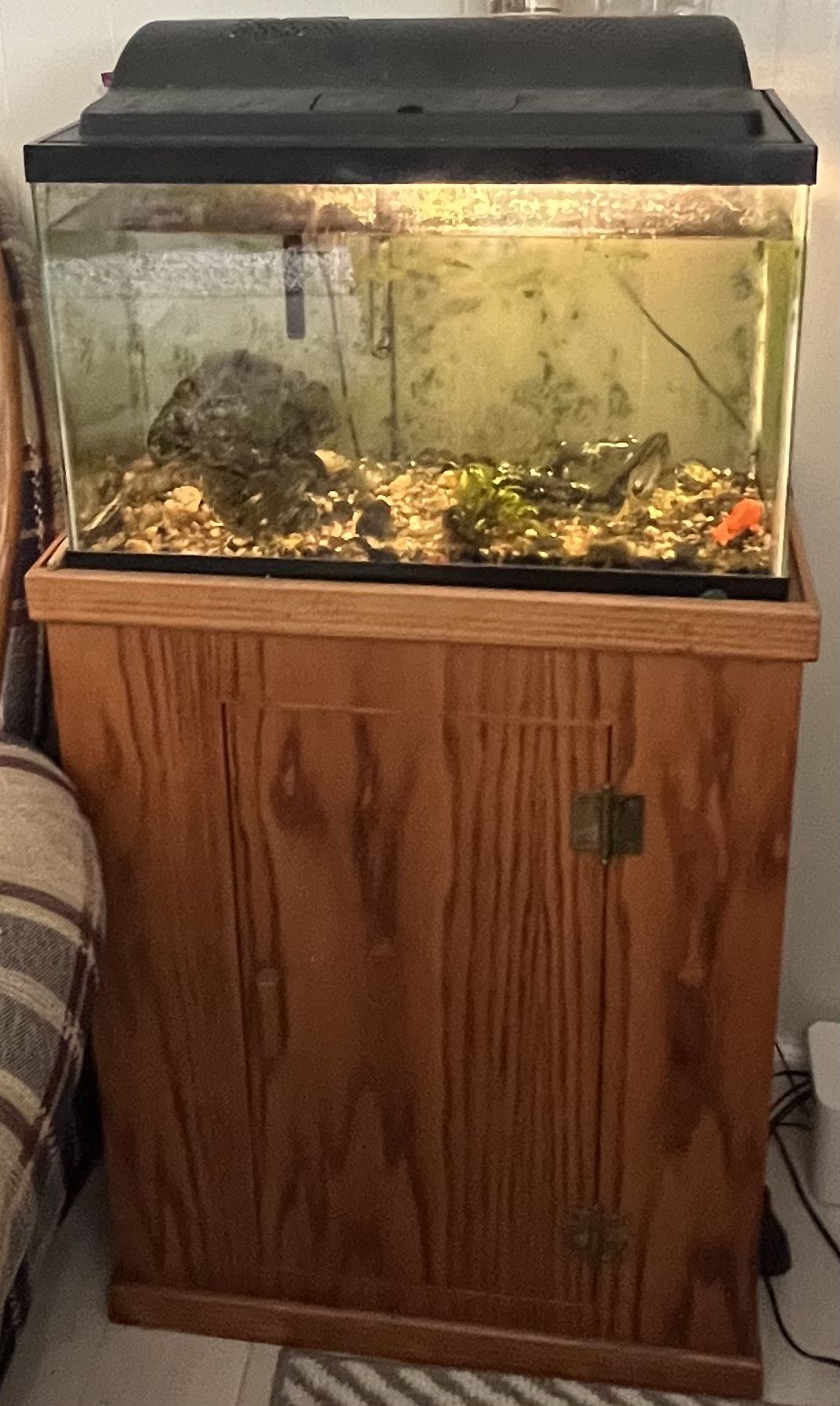 Fish Tank And All Things Including For It .