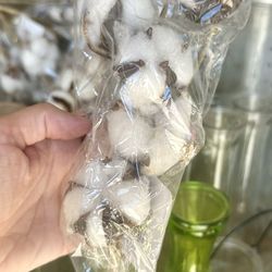 NEW in Plastic. Full Length COTTON STEMS. $ 1 TO PICK UP IN PERSON. $2 To Ship // CAN MAKE A BEAUTIFUL BOUQUET!!♥️