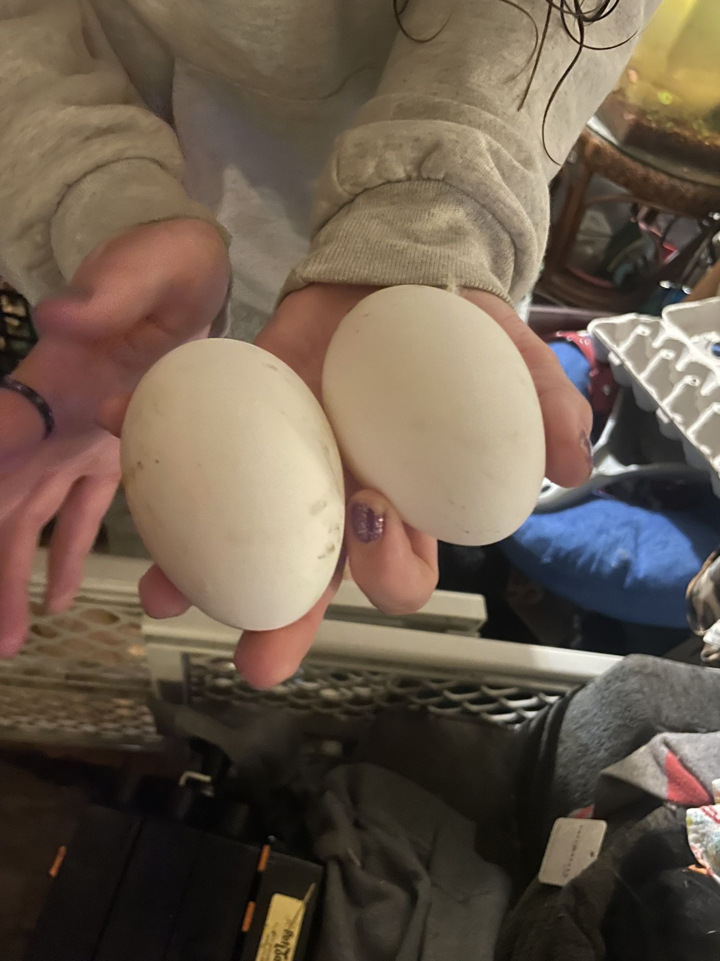 Goose Eggs