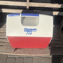 Igloo Playmate Elite Cooler – Classic Flip-Top – Only $12
