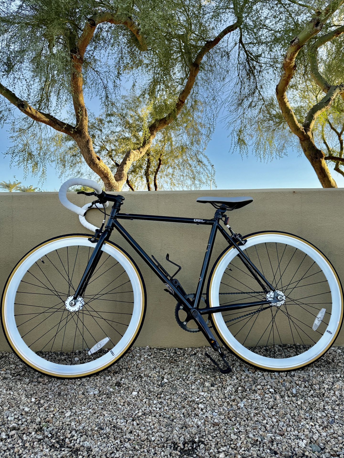 Fixed Gear / Road Bike