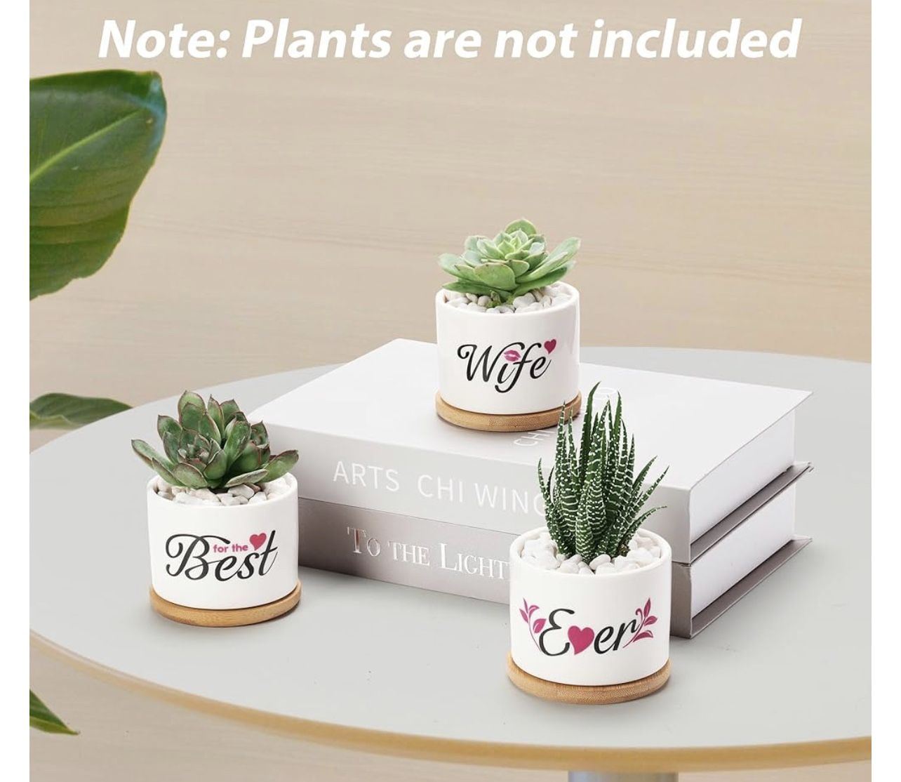 Mini Succulent Pots Personalized Garden Plant Pot for Wife, Best Wife Ever Plant Pot, Personalized Plant Pot 3.15 inch,