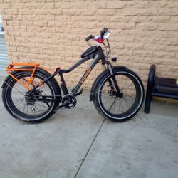 Electric bike Worth $1500