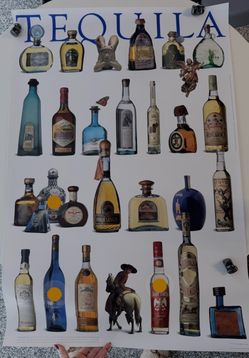 Tequila Poster 24x36 - Bar Decor / Man Cave Art $40 OBO