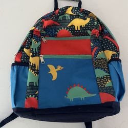 Boy Backpack Dinosaurs 