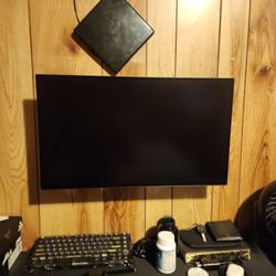 QHD 2560 x 1440 Oled Monitor 