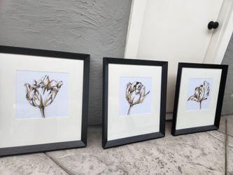 Frames